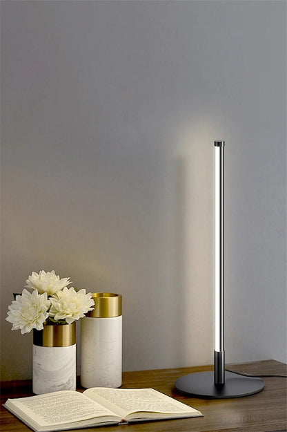 Minimalist LED Table lamp - Handy House